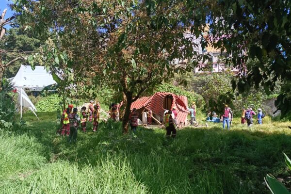 De concreto a naturaleza: Barranca Mixcoac recupera su ecosistema
